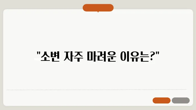 소변 수시로 마려움 증세 원인 해결 c2690