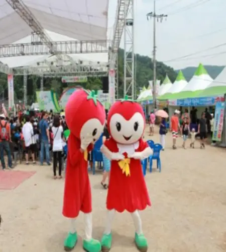퇴촌 토마토 축제_10