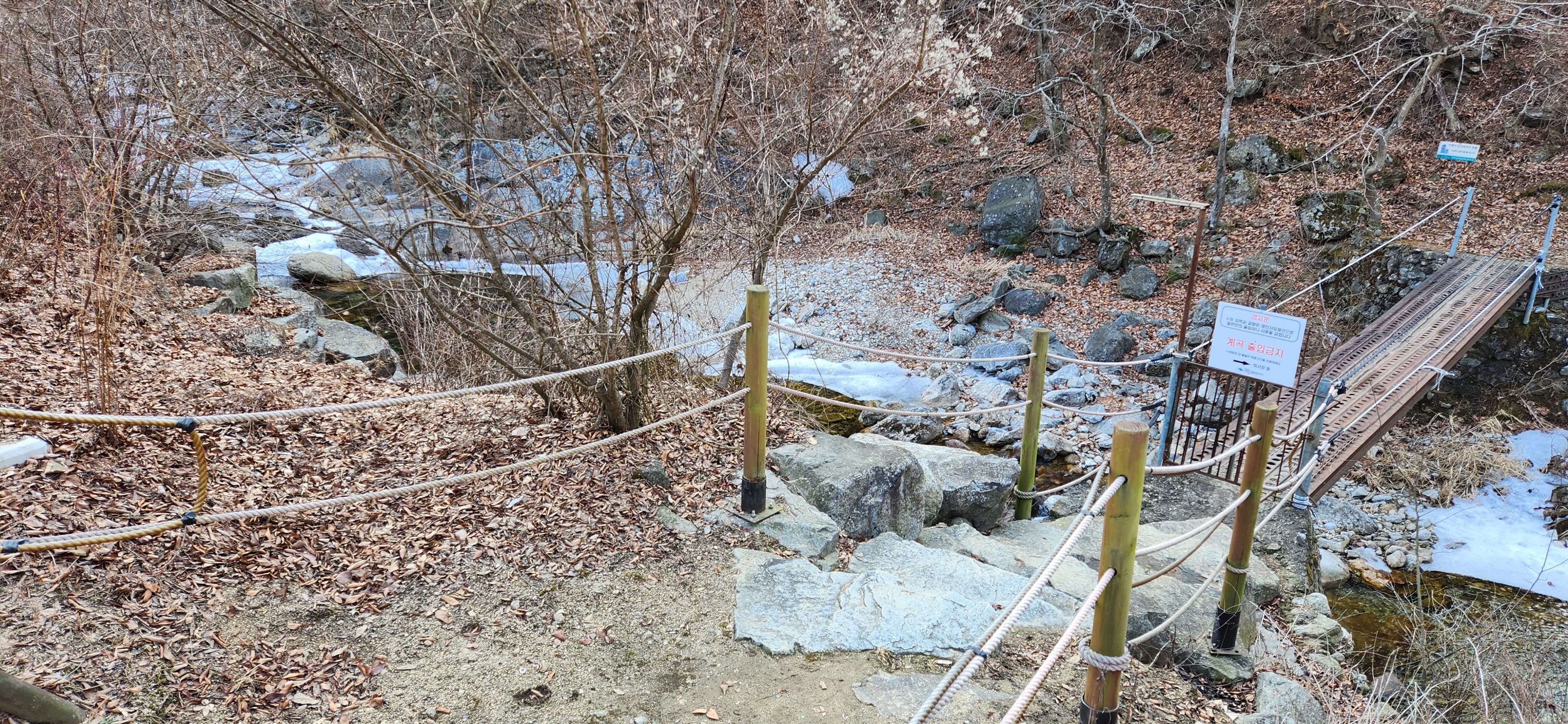 인생 첫 자동차 캠핑, 치악산 8