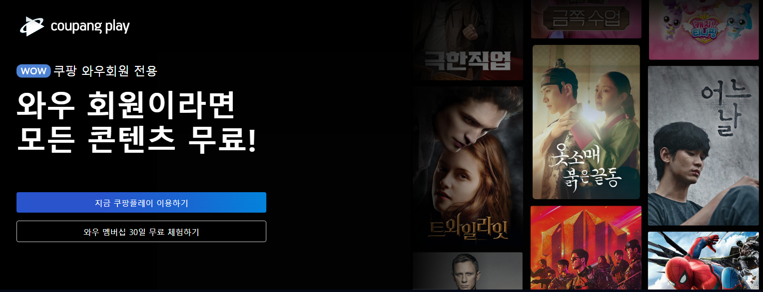 쿠팡 플레이