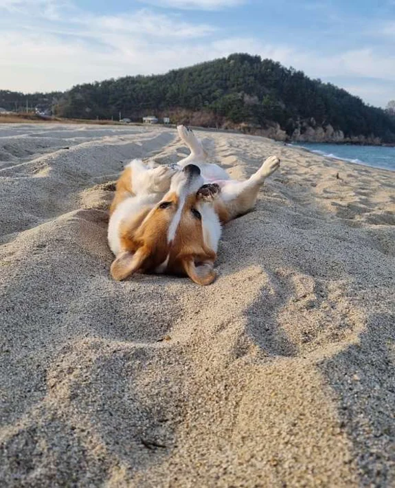 망양정해수욕장