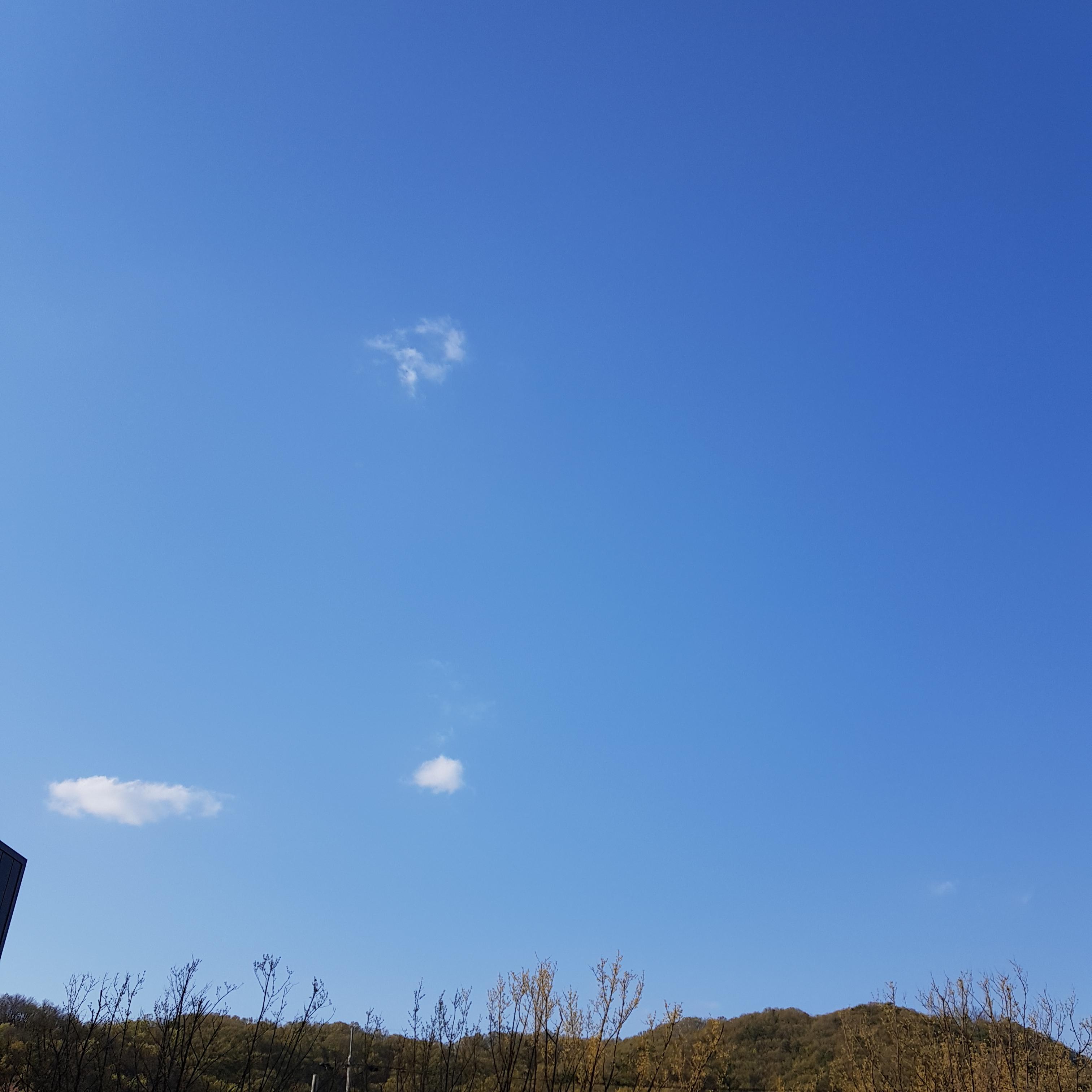  올리버 웬델 홈스의 인생 명언