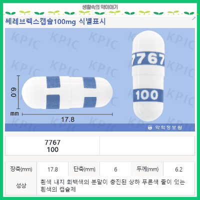 쎄레브렉스캡슐100mg성상