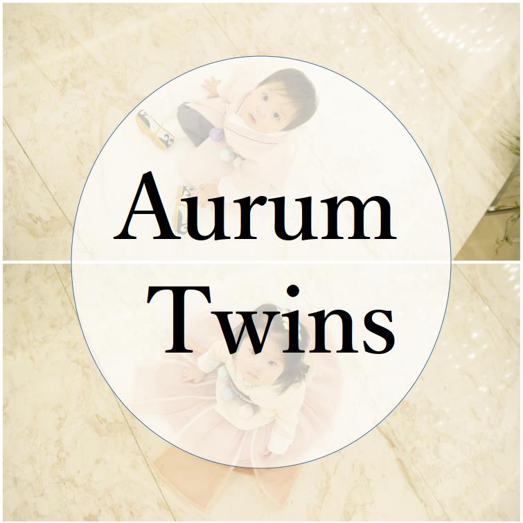  Aurum Twins 첫 글