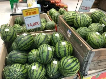 맛있는 수박 고르는법 5가지 feat 좋은 수박 암수 구별법_13