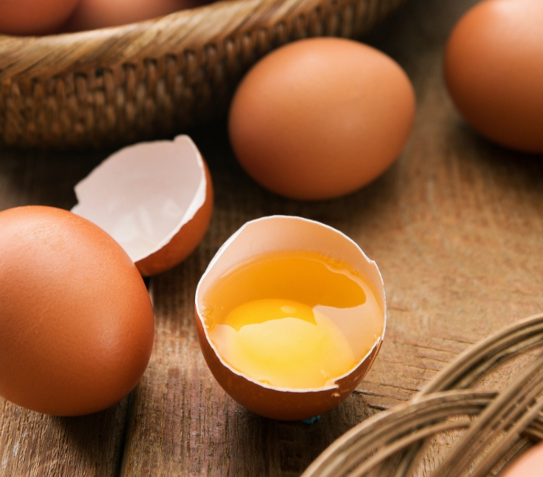 달걀껍질의 재활용법에 대해 알아보자