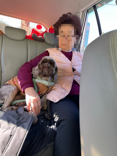 -영진해변,영진횟집,바우카페, 파인힐 애견펜션,속초중앙시장 설연휴 분홍이와의 여행 4