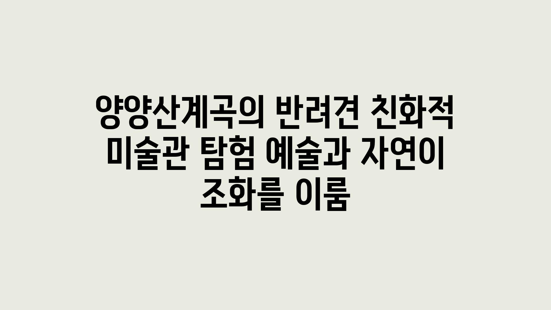 양양산계곡의 반려견 친화적 미술관 탐험 예술과 자연이 조화를 이룸