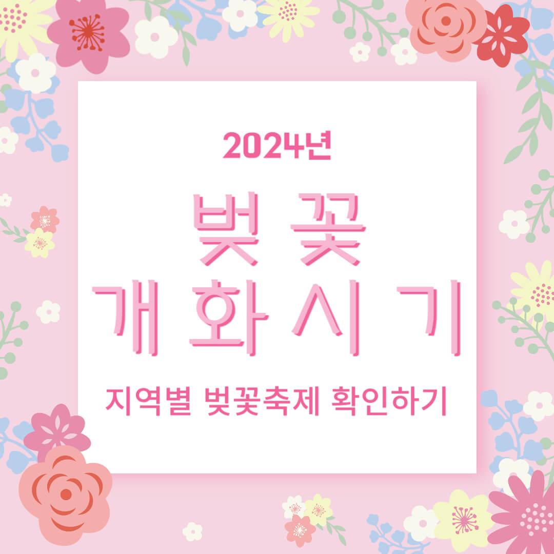 2024 벚꽃 개화시기 및 벚꽃 축제 날짜 확인하기