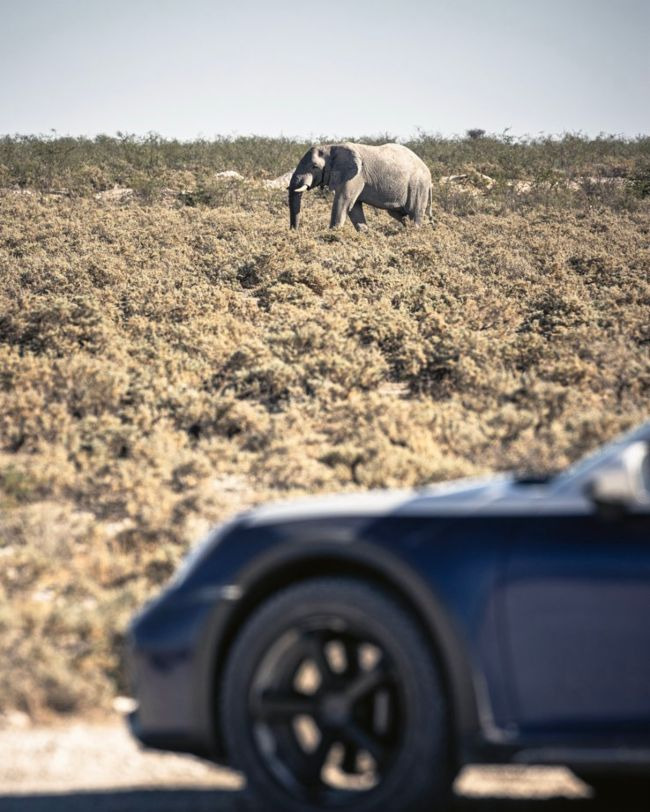 Welcome to the adventure: Camp Porsche 911 Namibia 22 img https://mobilityground.com/wp-content/uploads/2024/09/3-1-2.jpg