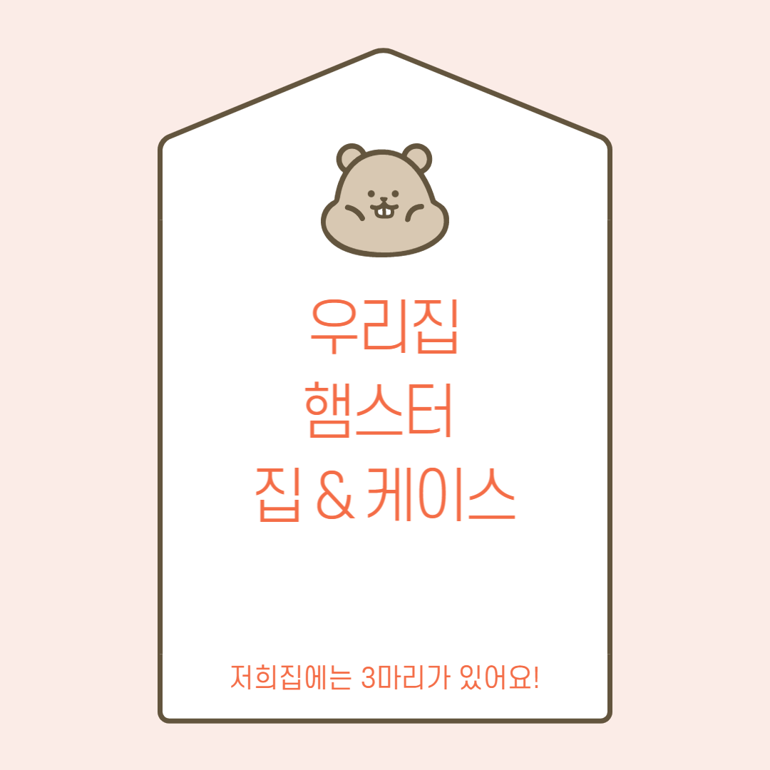 햄스터 집 케이스 추천