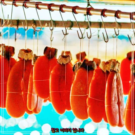  신계숙 맛터사이클다이어리 시즌4 타이베이 타이완 소개 어란 맛집 루강 대만 再烏魚子傳統製作批發 구운어란 어란즉석구이 가격 위치 어디