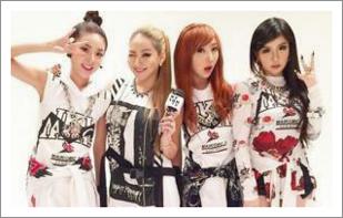 2ne1 노래모음