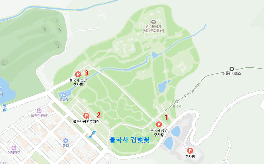 주차