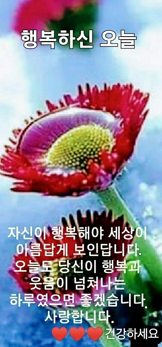  오늘의 좋은글 297번째 성공의 길로 가는중에 너무 뻔한 목표를 세운 다면 열정이 금방 식어져 도태 될 수 있습니다