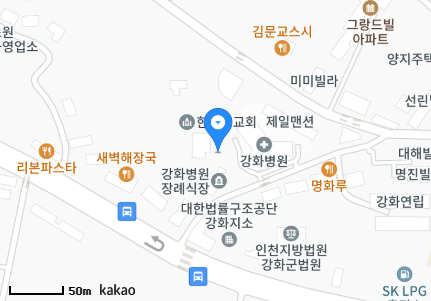 인천 강화군 강화읍 일요일 진료 휴일 문 여는 병원