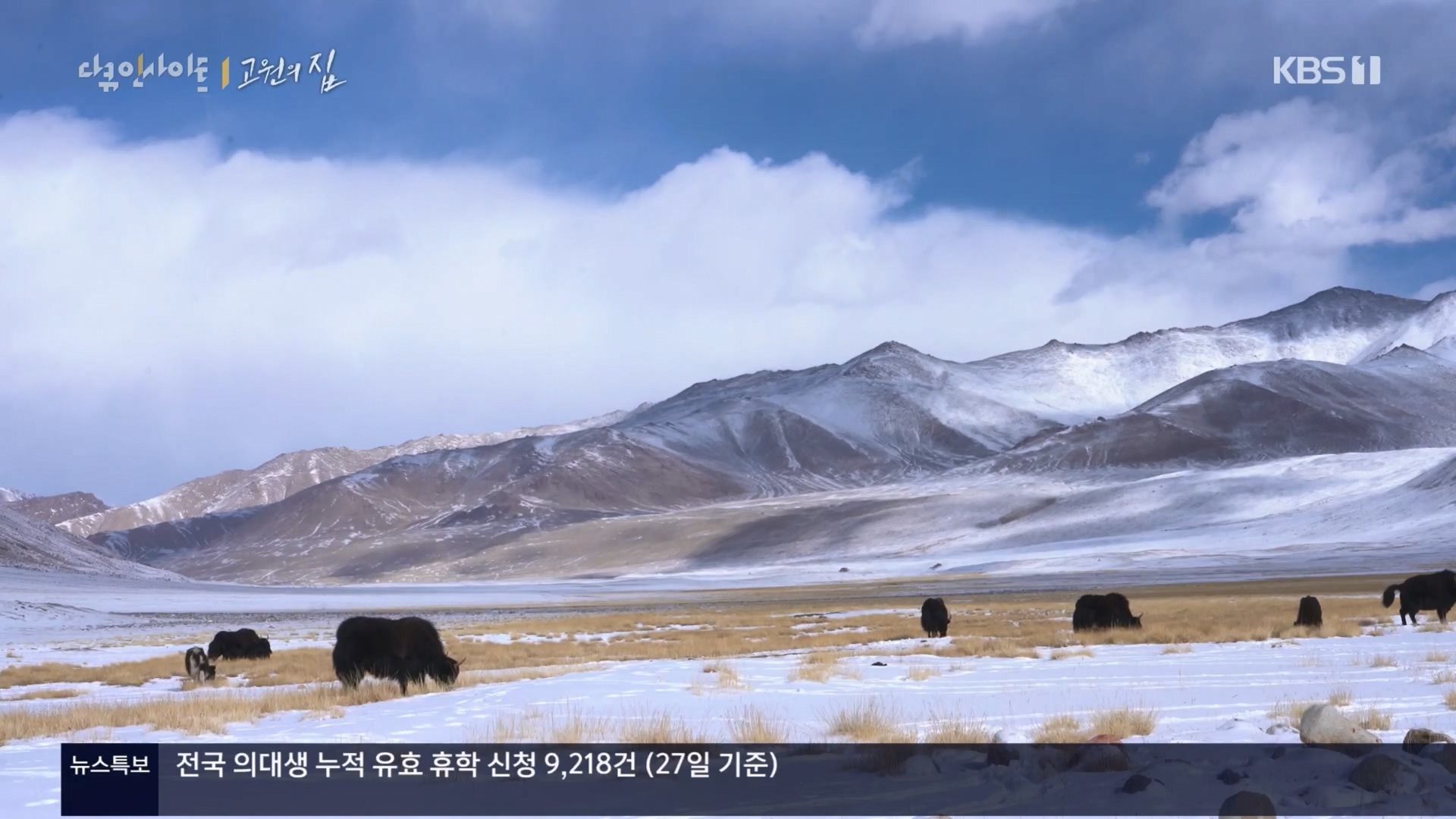 다큐 인사이트.E176.240328p.H264-F1RST.mp4_20240330_162259.265.jpg