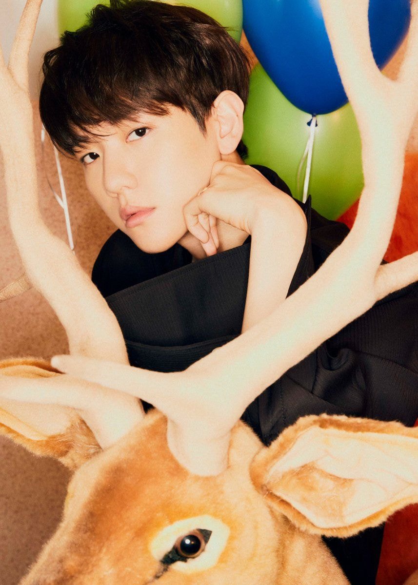  엑소(EXO) 백현 예쁜 사진 움짤 gif