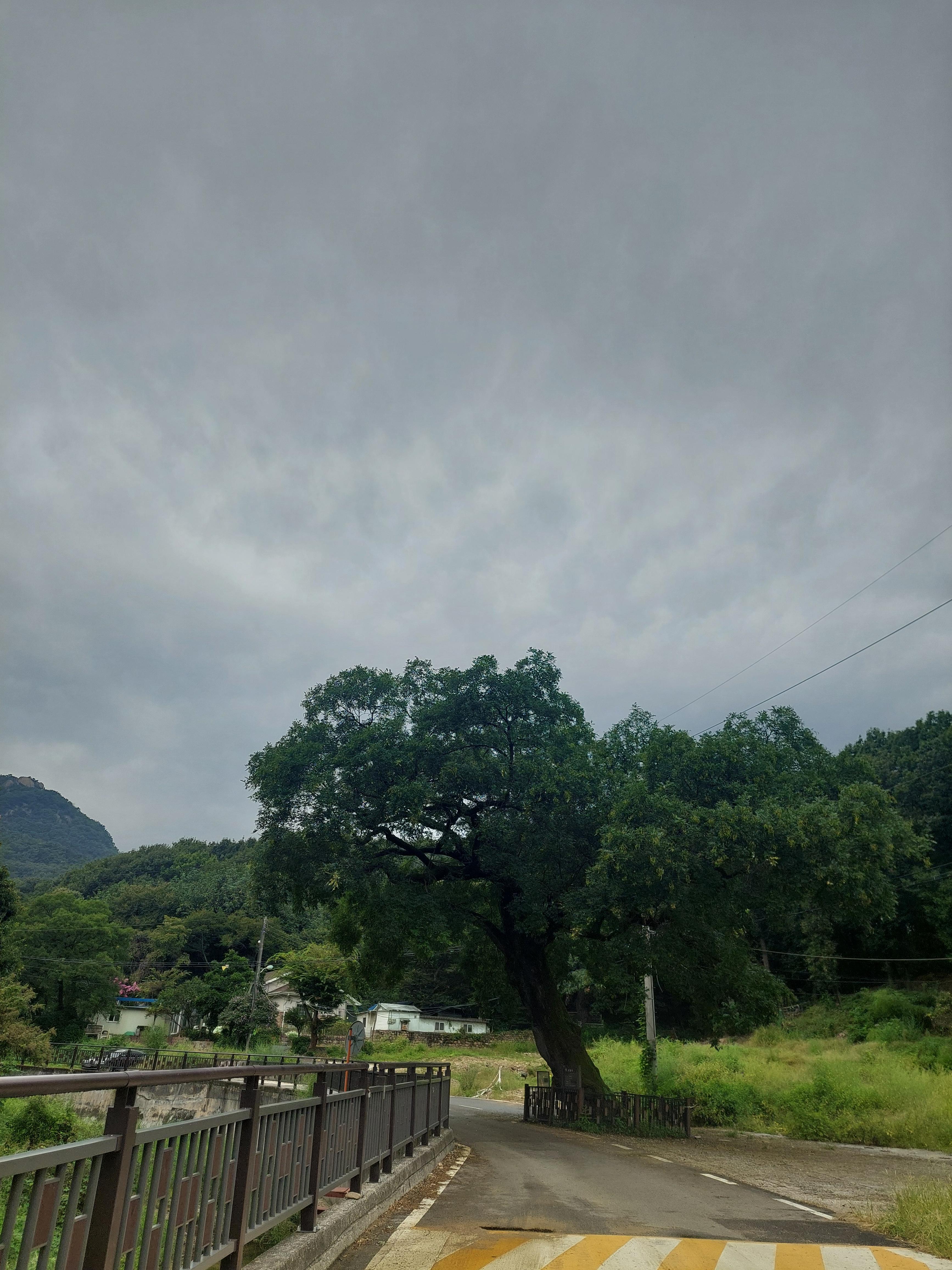 사패산