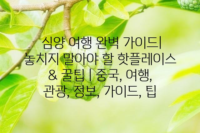 랜덤225