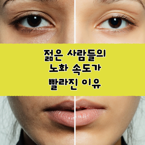노화가빨라진이유