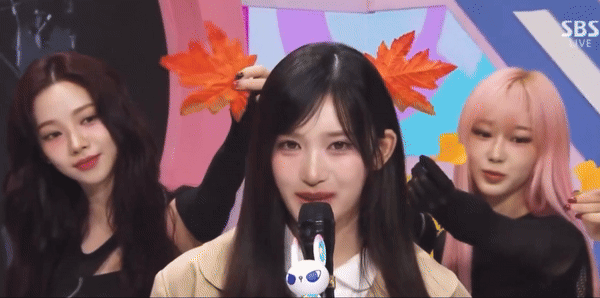 img.gif