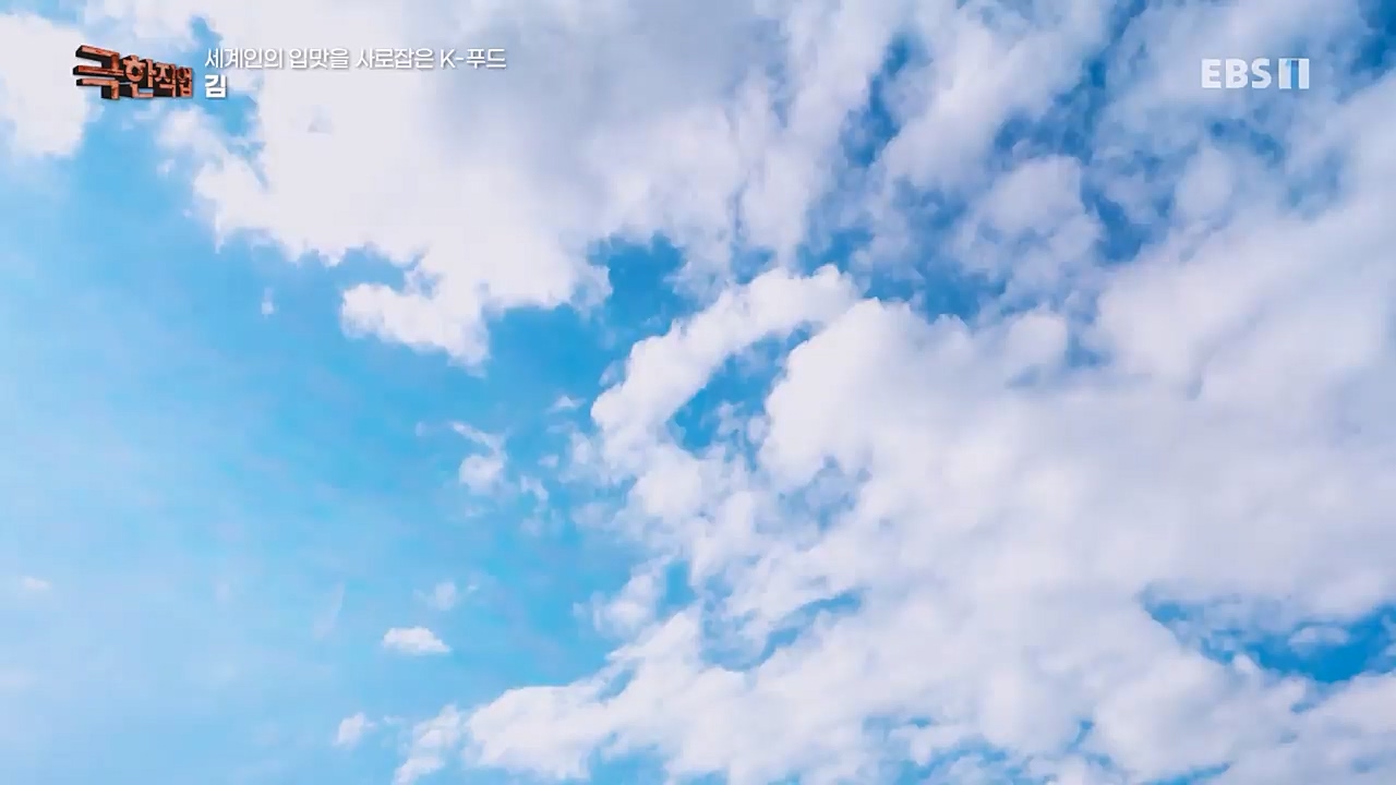 TV - 교육의 중심 EBS세계인의 입맛을 사로잡은 K-푸드.mp4_20230211_183519.365.jpg