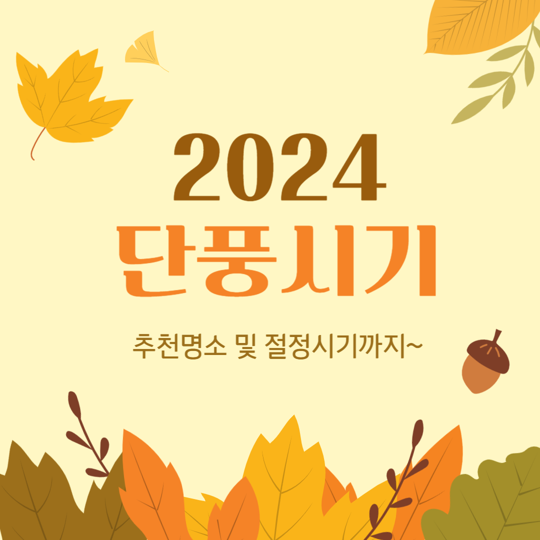 2024 단풍시기