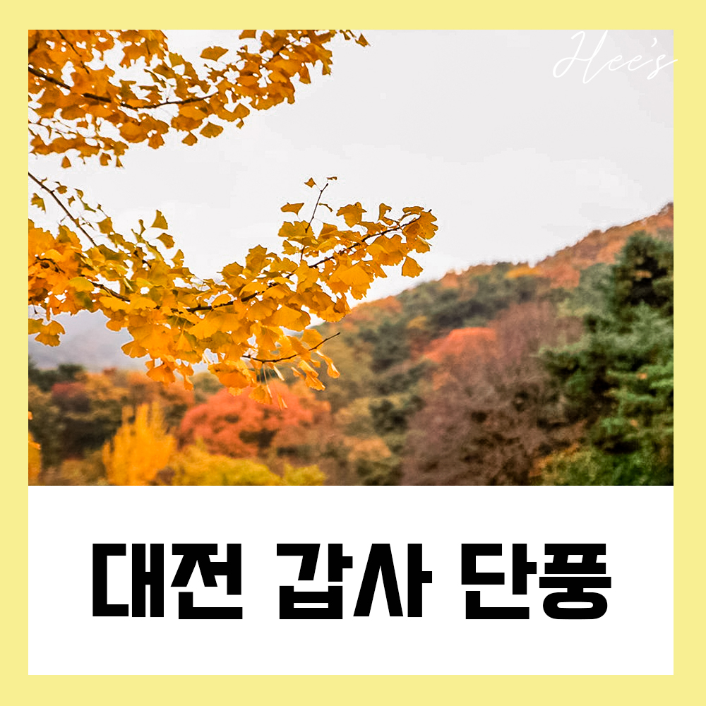  대전 단풍 명소 | 갑사 단풍 절정시기는?