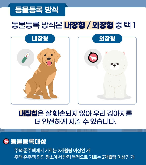 동물등록번호 조회 찾기 반려동물 등록 방법 동물등록제