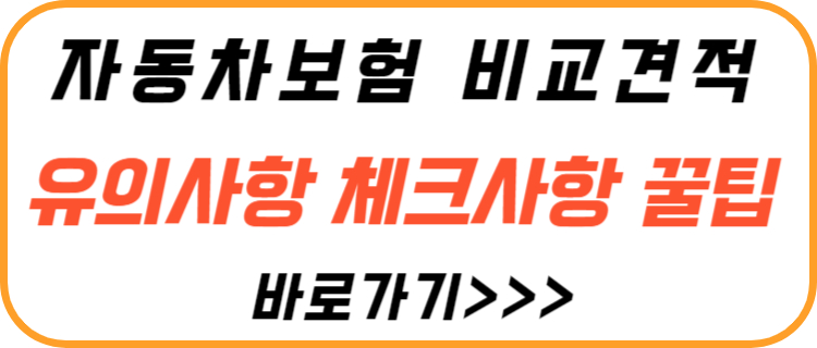 자동차-보험-비교-견적-유의-사항-체크-사항-꿀팁