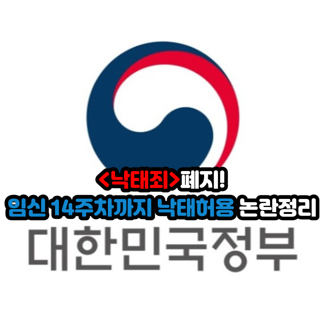  낙태죄 폐지, 임신 14주까지 낙태 허용 정리 (+개정안)