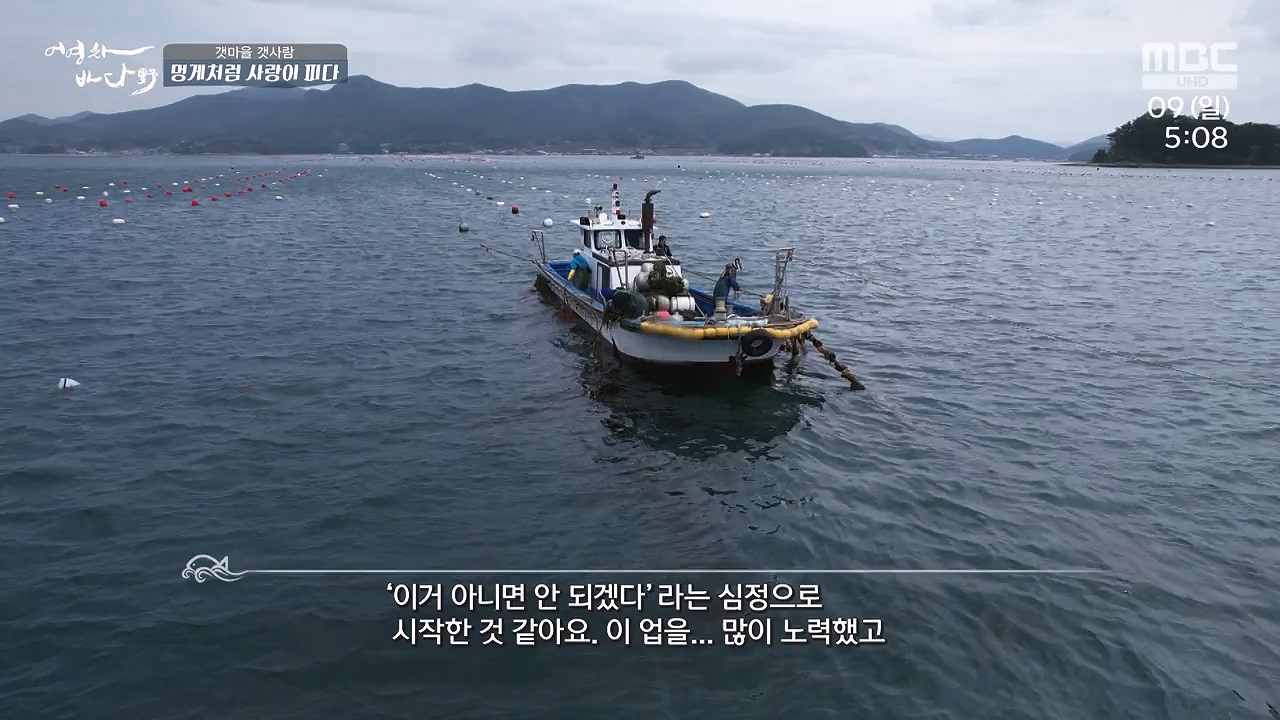 MBC 네트워크 특선 푸른백세 어영차 바다야.E1684.240610p-NEXT.mp4_20240611_203113.132.jpg