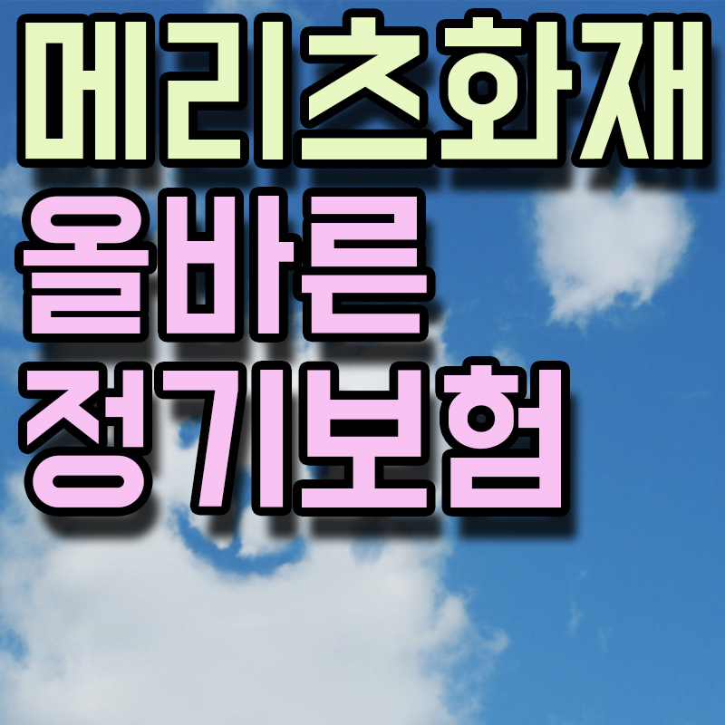 메리츠화재 올바른 정기보험 썸네일 이미지