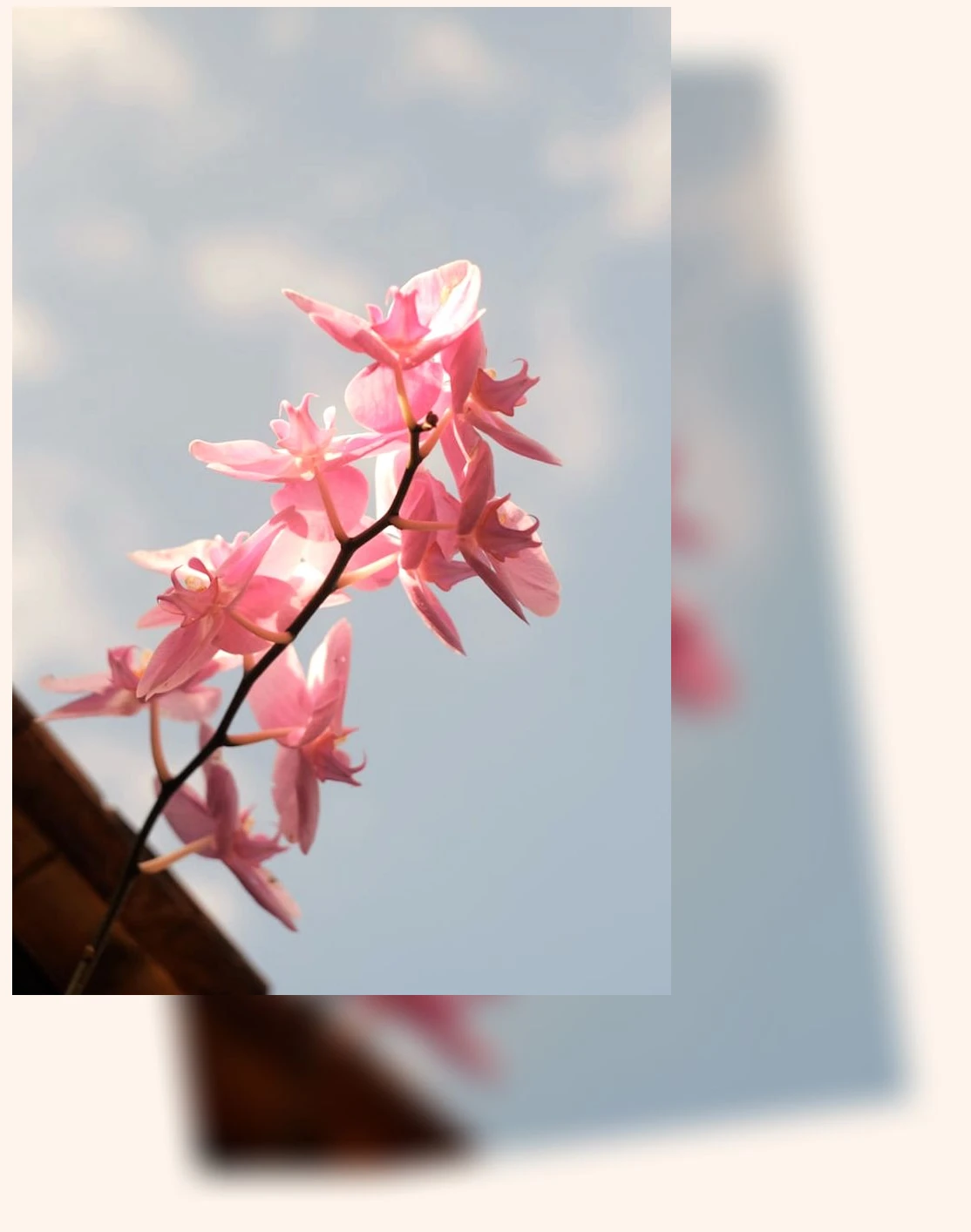 나트랑 혼자 여행_1_subsection