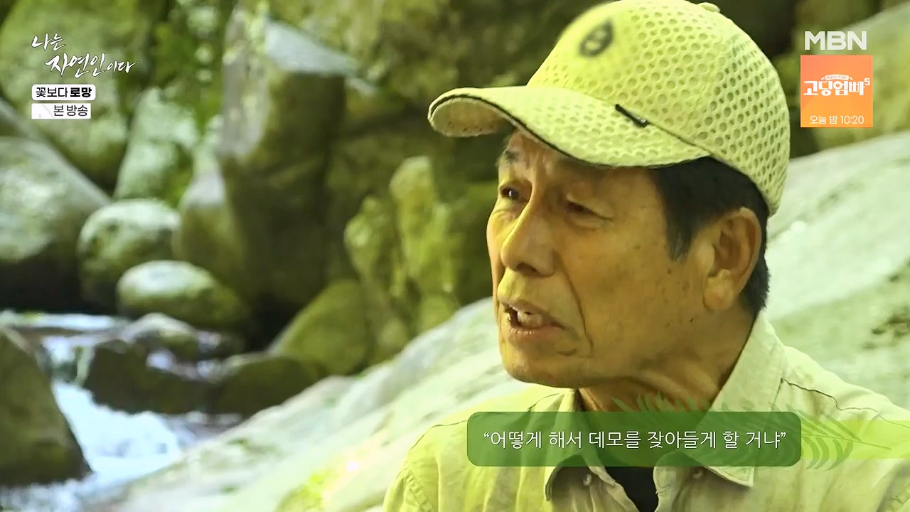 나는 자연인이다.E608.240606p-NEXT.mp4_20240606_164044.643.jpg
