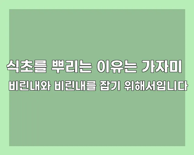 식초를 뿌리는 이유는 가자미 비린내와 비린내를 잡기 위해서입니다