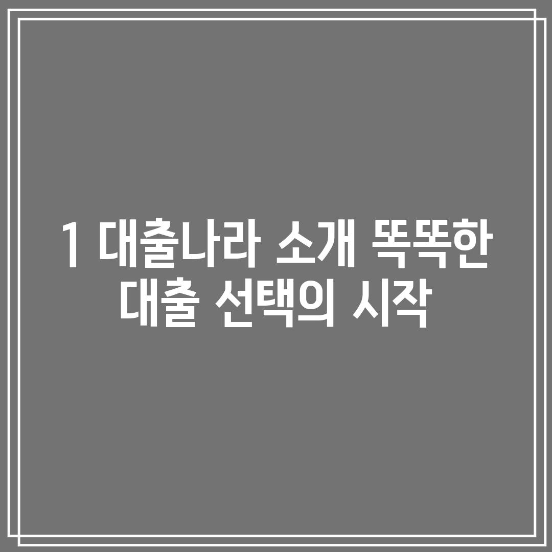 1. 대출나라 소개: 똑똑한 대출 선택의 시작