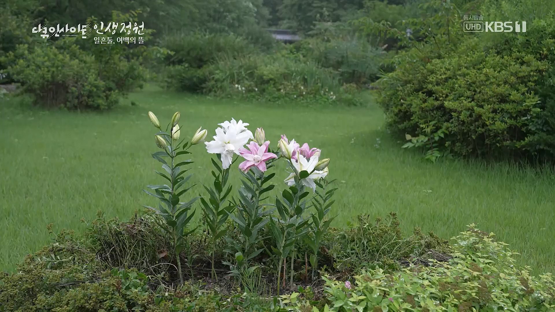 다큐 인사이트.E135.221229p.H264-F1RST.mp4_20230109_204215.759.jpg