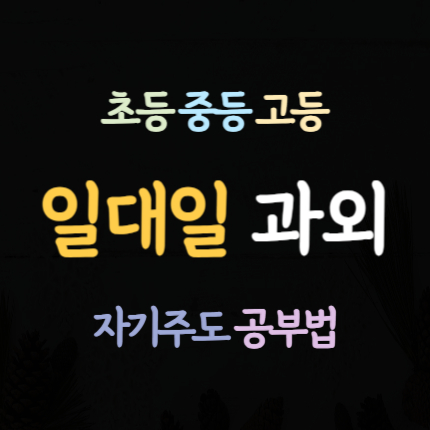  호암 수학과외 충주 호암동 영어과외 초등 국어과외 중등 중학생 과학 고등 내신 전문 수능 준비 예비고 예비중