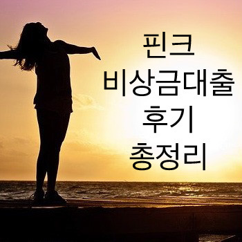  핀크 비상금대출 후기 거절 시 대안까지 총정리
