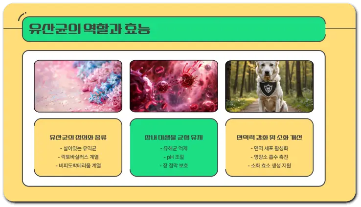 애견 유산균 추천