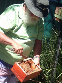Buzzing Summer Community Garden Hosts &#39;How To Bee&#39; Workshops and Celebratory Evening