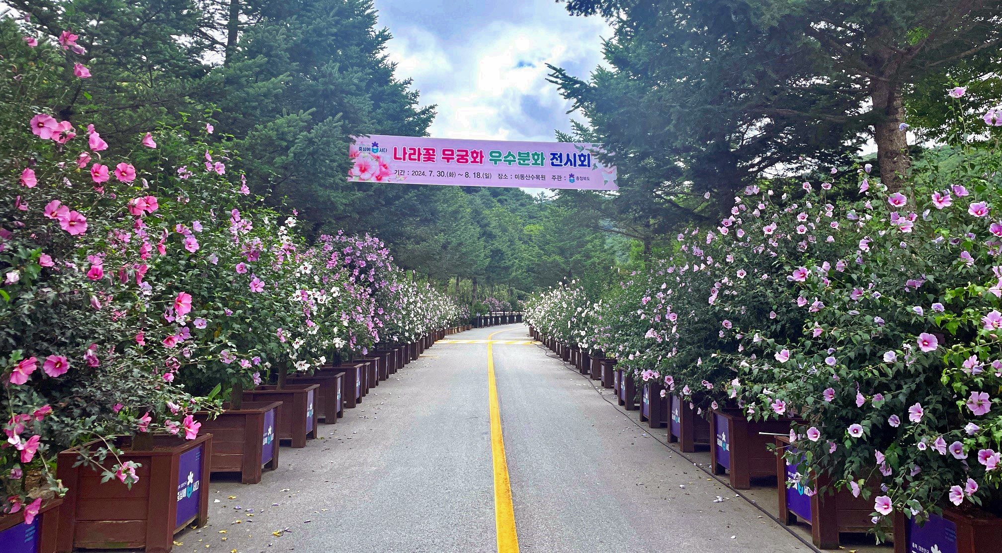 청주 미동산수목원