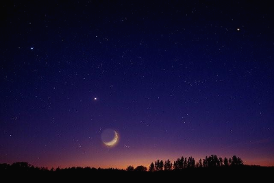 밤하늘 초승달과 별 그리고 나무 실루엣