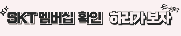 SKT 멤버십 소개