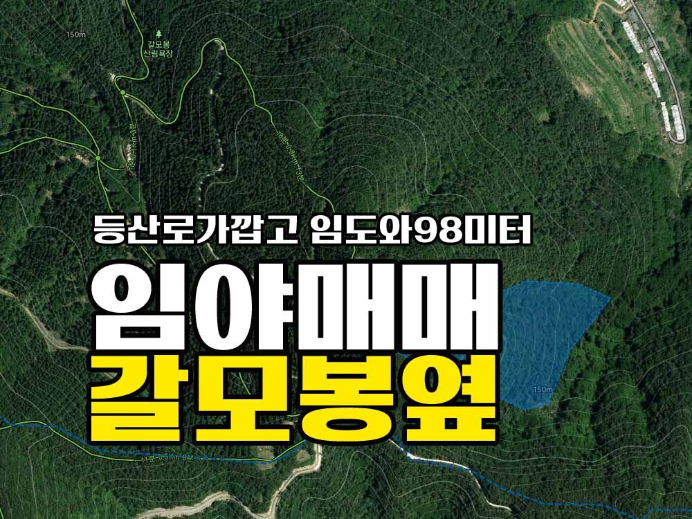  경남고성임야매매 갈모봉 산림욕장 인근 / 등산로 가까이 있음 / 공시지가금액