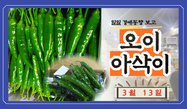  [제22회 경매사 기출문제풀이-농안법(3)] 농부님! 제가 미리 살테니 계약합니다~