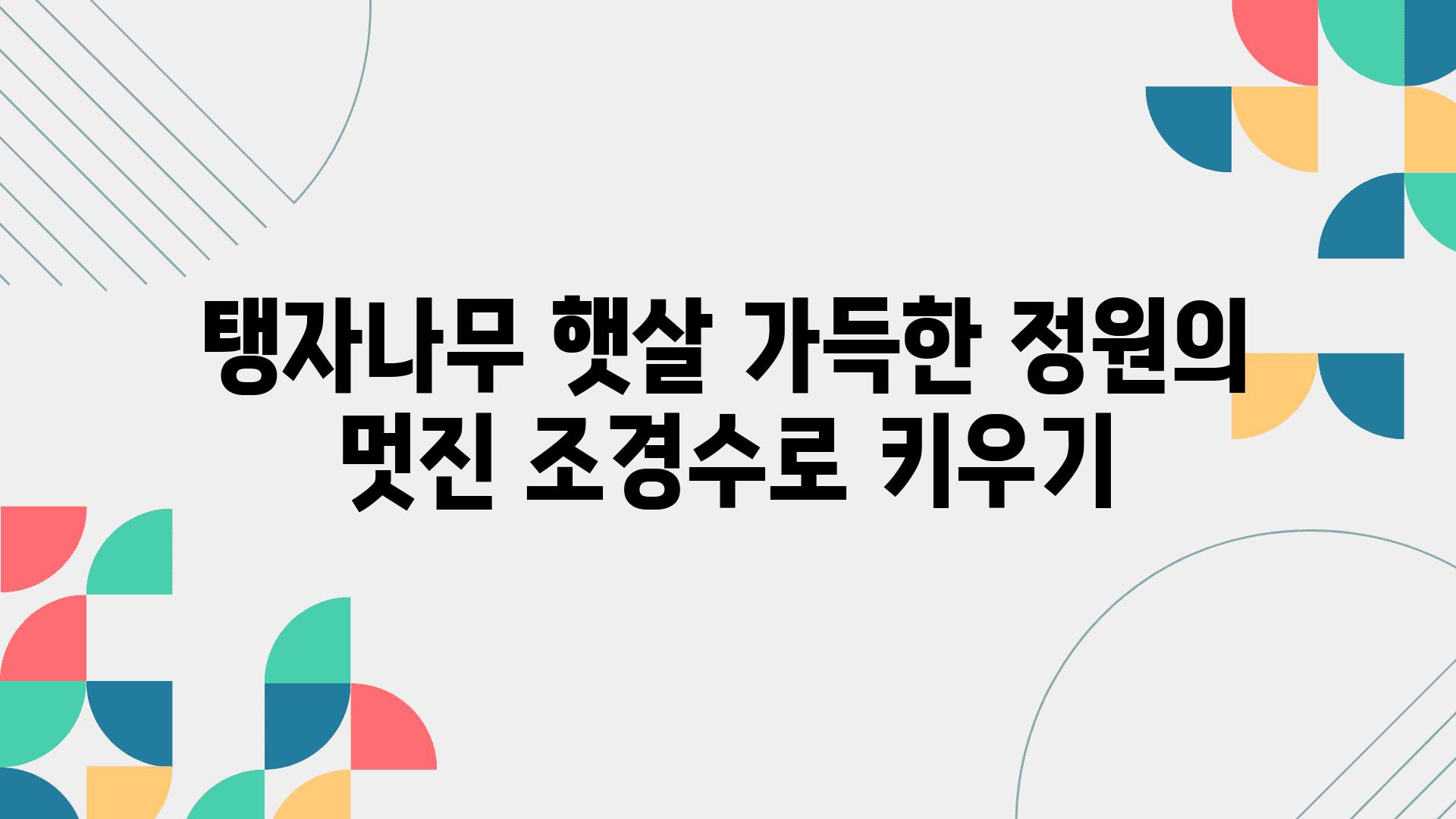 탱자나무 햇살 가득한 정원의 멋진 조경수로 키우기