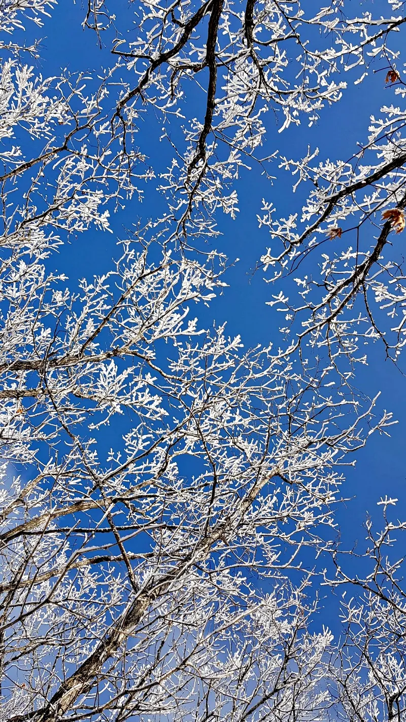 소백산 설경